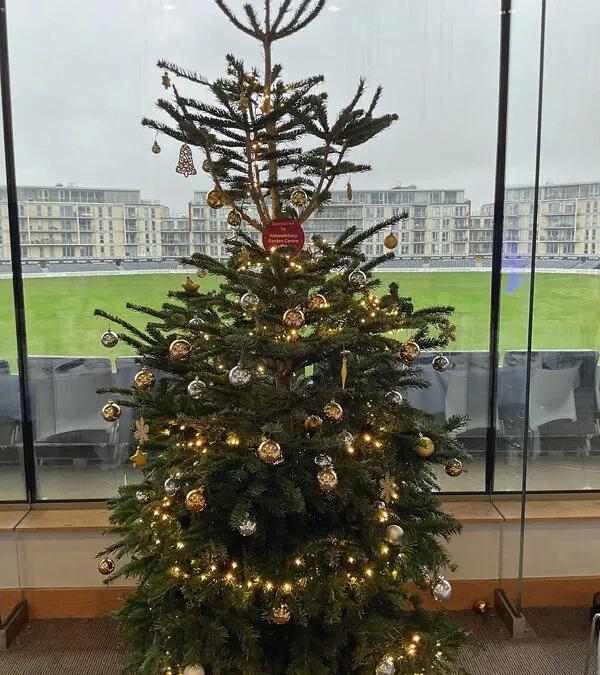 Blue Diamond Christmas Lunch 2025